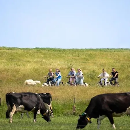 In Wangerland With Meals & Drinks Lejlighed *